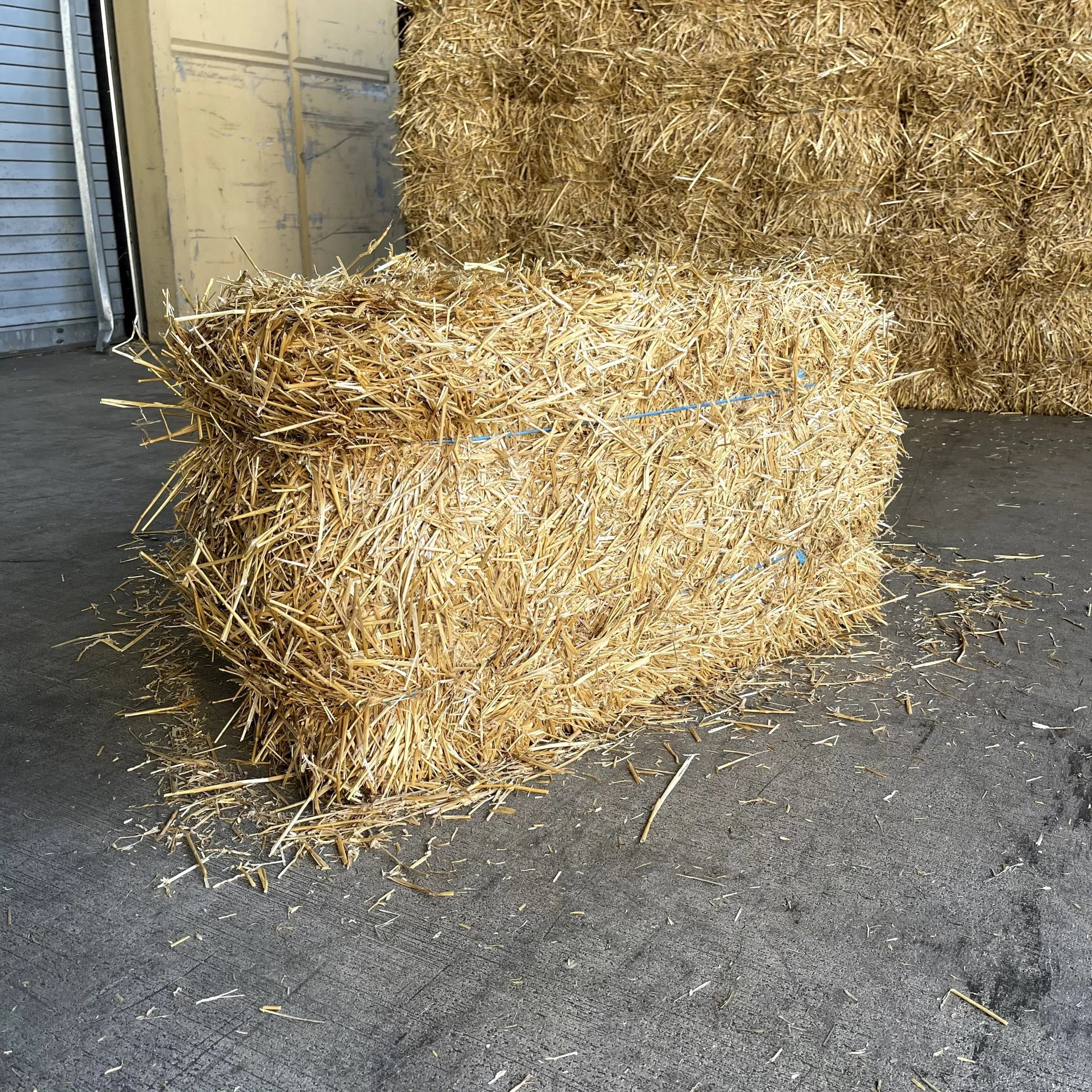 Wheat Straw Bales