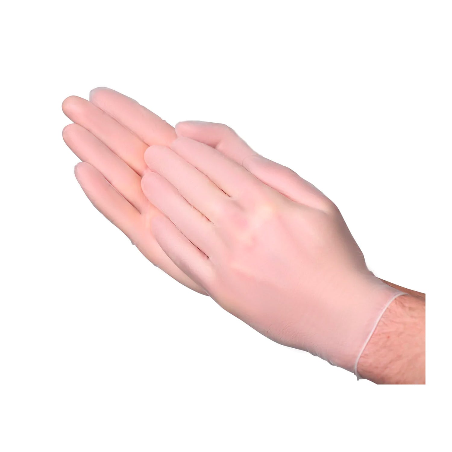 Vinyl Gloves