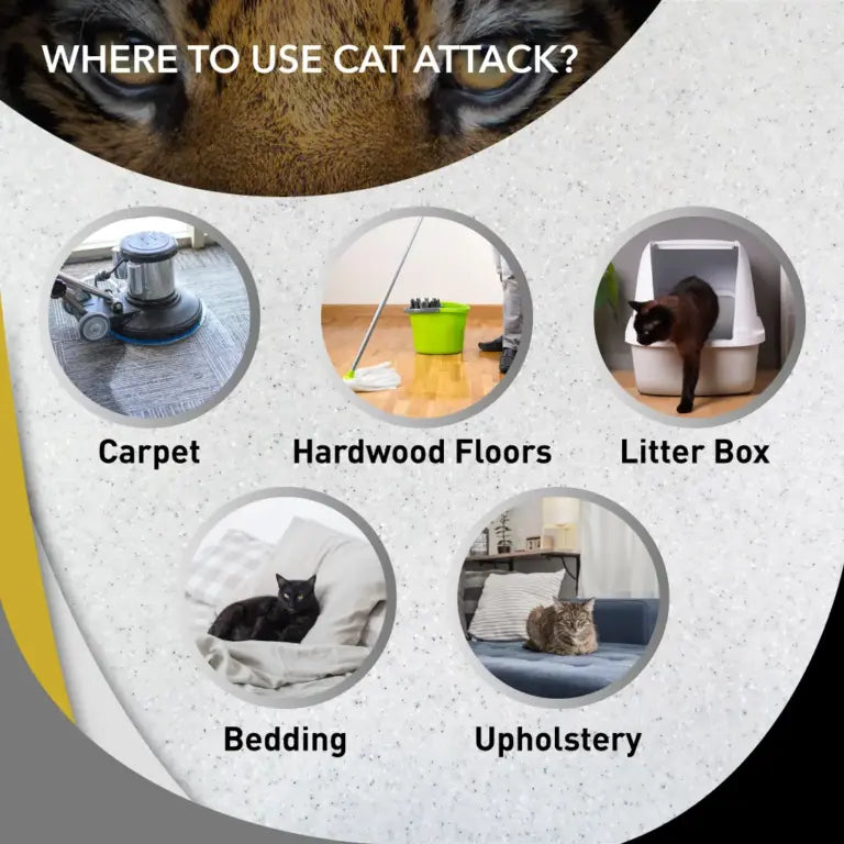 Odorcide Cat Attack